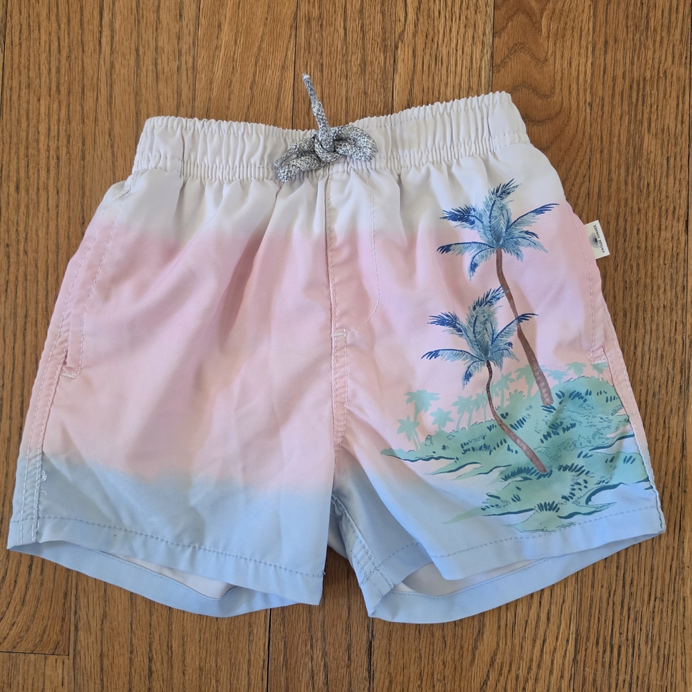 Vintage Summer Boys Ombre Pink & Blue Palm-Print Swim Trunks Size 3